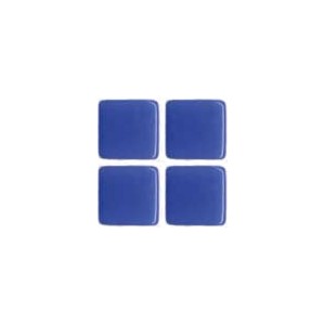 Delphinium