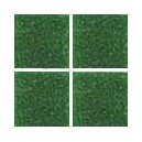 Oregano